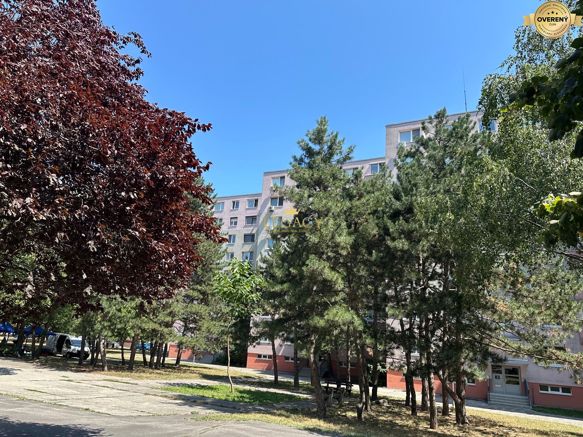 IMG_8850.jpeg