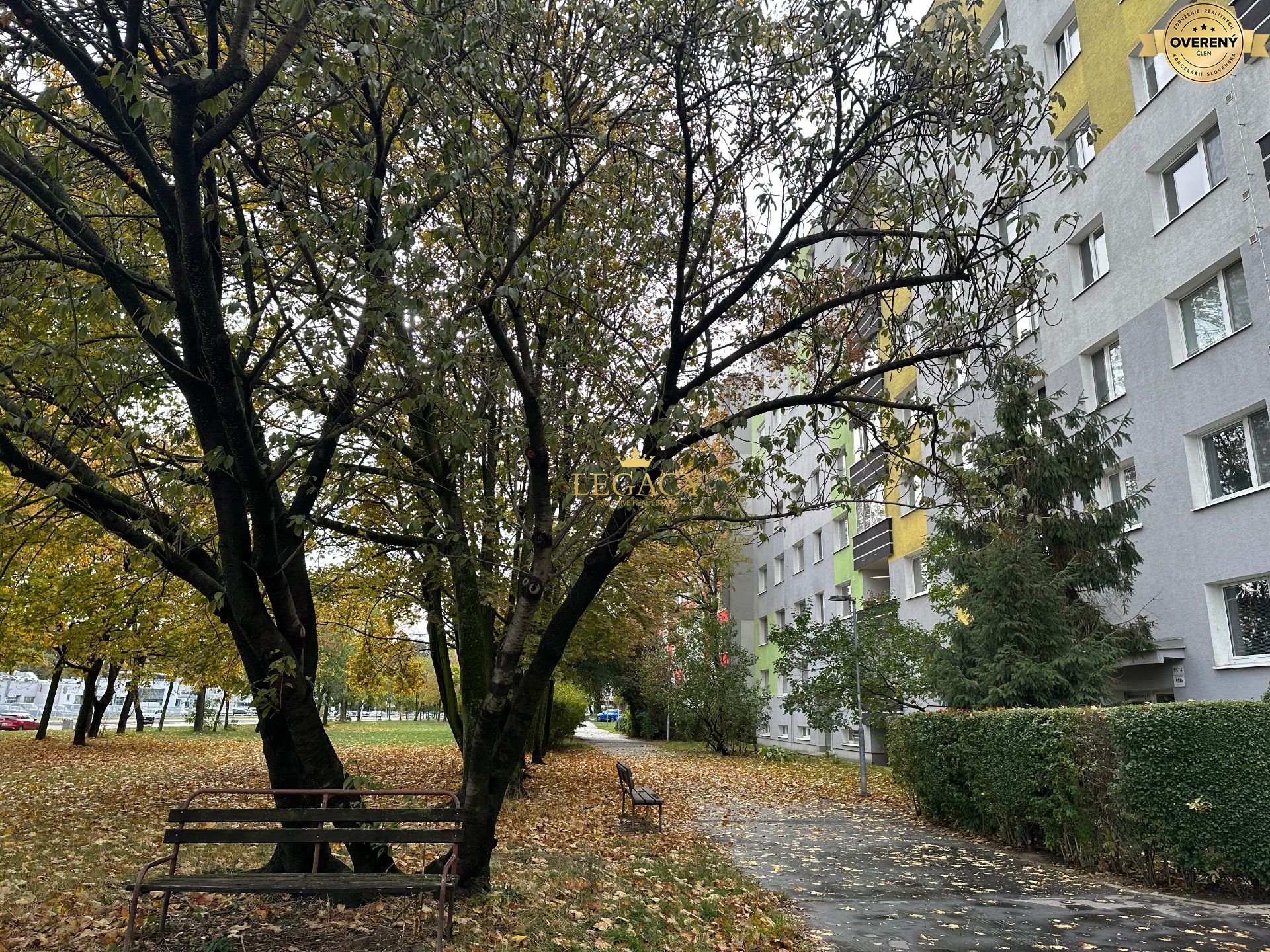 IMG_4653.jpeg